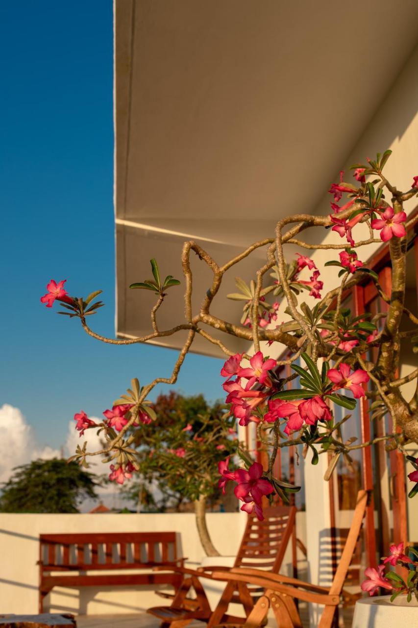Villa Lotus 8 Canggu Exteriér fotografie